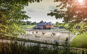 Hotel Horse Riding - Jezdecký Areál Tršice